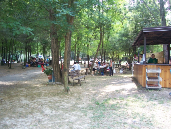  Image name: Parco12.jpg 
 width: 600 pixel 
 height: 451 pixel 
 Size: 298901 bytes 
 Click to enlarge 